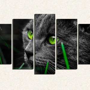 Cuadro 5 piezas gatos ojos verdes