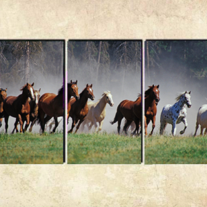 Cuadro Caballos Corriendo