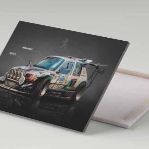 Cuadro 30x40 Peugeot 206 T16 Rally