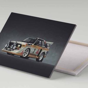 Cuadro 30x40 Audi Quattro Rally Nro 2