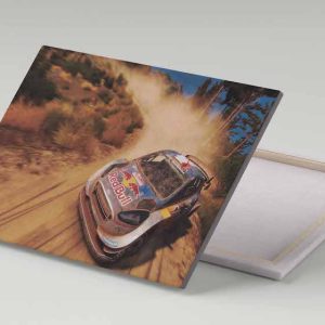 Cuadro 30x40 Ford Fiesta WRC Rally