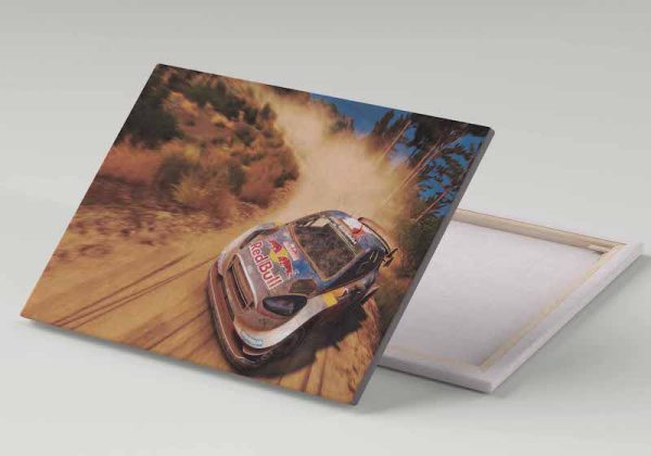 Cuadro 30x40 Ford Fiesta WRC Rally