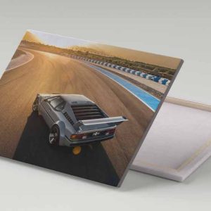 Cuadro 30x40 BMW M1 en Pista
