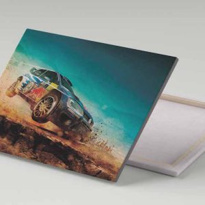 Cuadro 30x40 Volkswagen Polo R WRC
