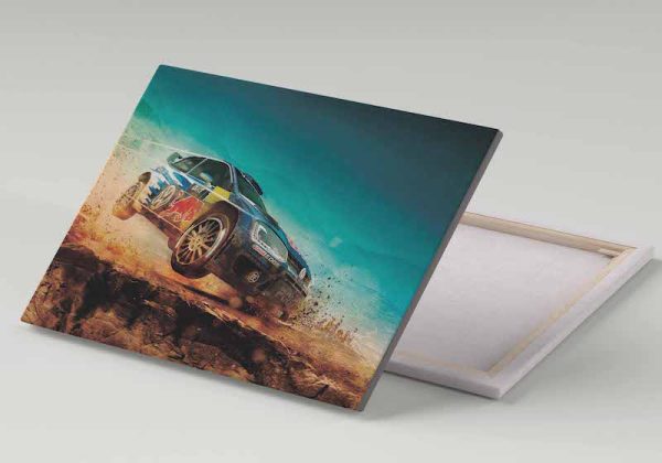 Cuadro 30x40 Volkswagen Polo R WRC