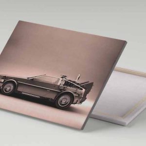 Cuadro 30x40 Delorean Volver Al Futuro