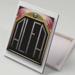Cuadro 40x30 ALFA