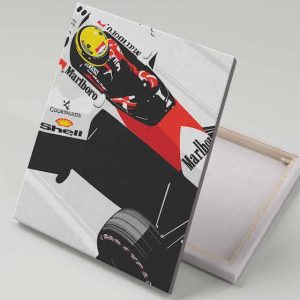 Cuadro 40x30 Senna Ilustración