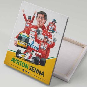 Cuadro 40x30 Senna Estrellas