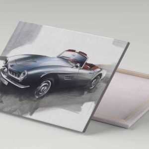 Cuadro 30x40 BMW 507 Gris