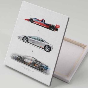 Cuadro 40x30 BMW Race cars