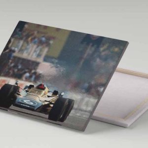 Cuadro 30x40 Lotus 56B Nro 5