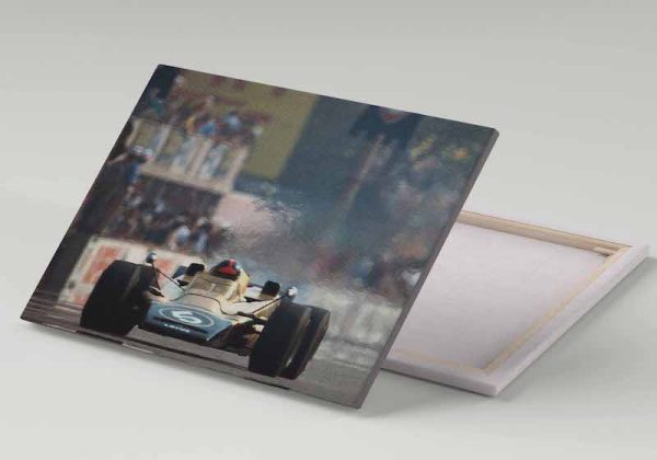 Cuadro 30x40 Lotus 56B Nro 5