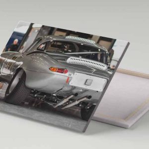 Cuadro 30x40 Jaguar Type E