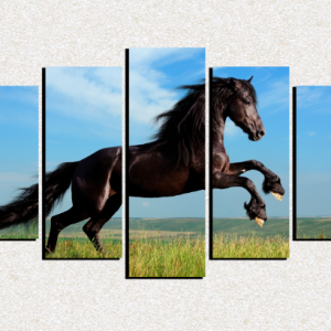 Cuadro 5 piezas Caballo negro galopando