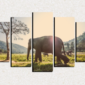 Cuadro 5 piezas Elefante y arbol