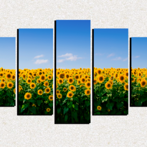 Cuadro 5 piezas Campo de Girasoles