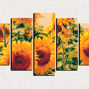 Cuadro 5 piezas Girasoles