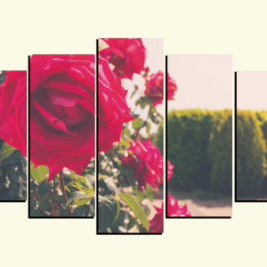 Cuadro 5 piezas Rosas rojas