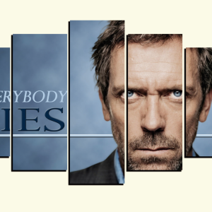 Cuadro 5 piezas Dr. House "Everybody Lies"