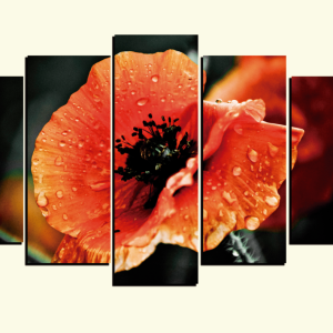 Cuadro 5 piezas Flor Anaranjada