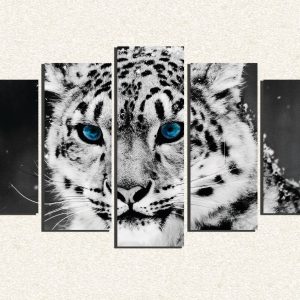 Cuadro 5 piezas Tigre blanco ojos azules