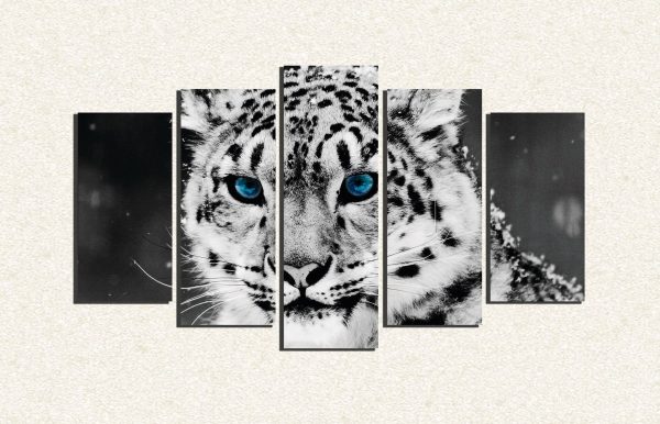 Cuadro 5 piezas Tigre blanco ojos azules