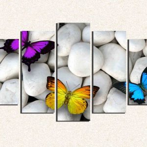 Cuadro 5 piezas Mariposas colores