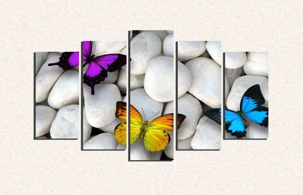 Cuadro 5 piezas Mariposas colores
