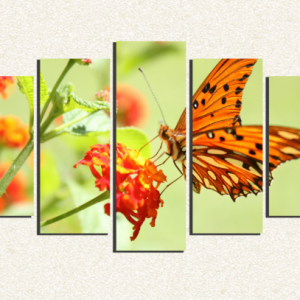 Cuadro 5 piezas Mariposa