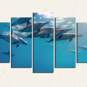 Cuadro 5 piezas Manada de Delfines