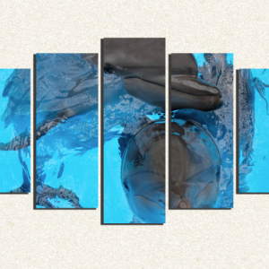 Cuadro 5 piezas Delfines