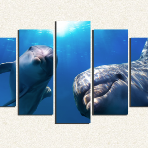 Cuadro 5 piezas Delfines Mirando