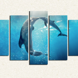 Cuadro 5 piezas Delfines bajo el agua