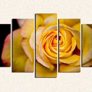 Cuadro 5 piezas Rosa Amarilla de cerca